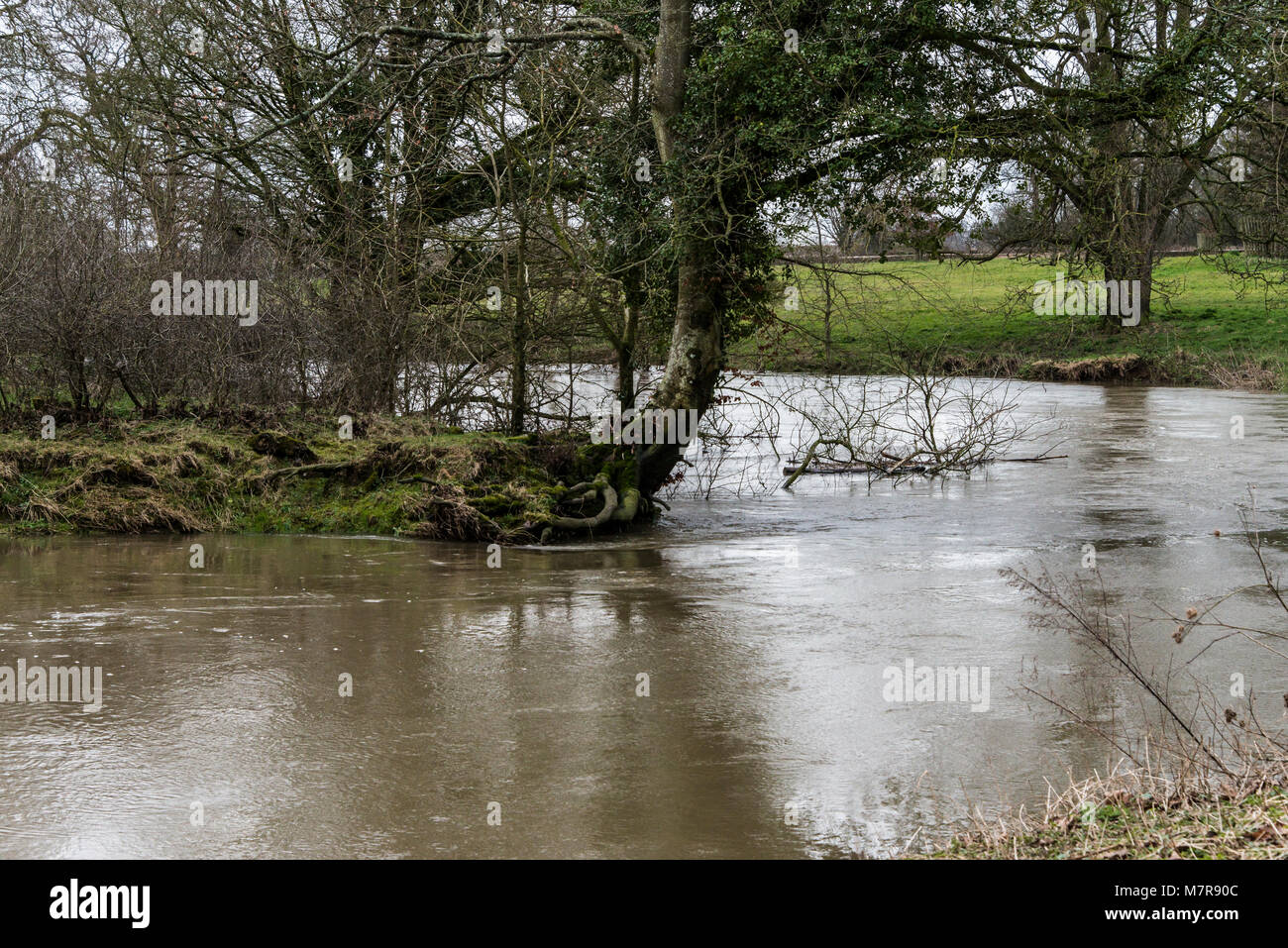 Il fiume Avon a Lacock, Wiltshire gonfiata dopo la neve si è sciolta Foto Stock