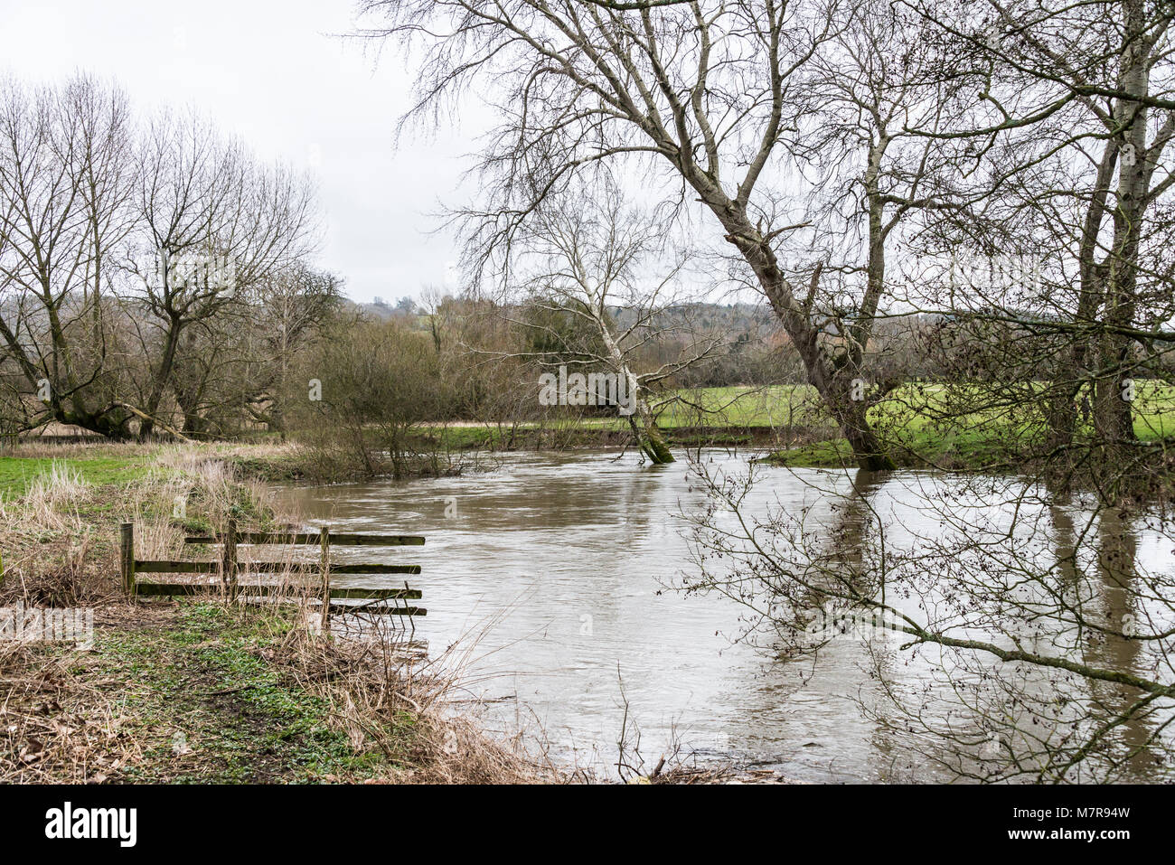 Il fiume Avon a Lacock, Wiltshire gonfiata dopo la neve si è sciolta Foto Stock