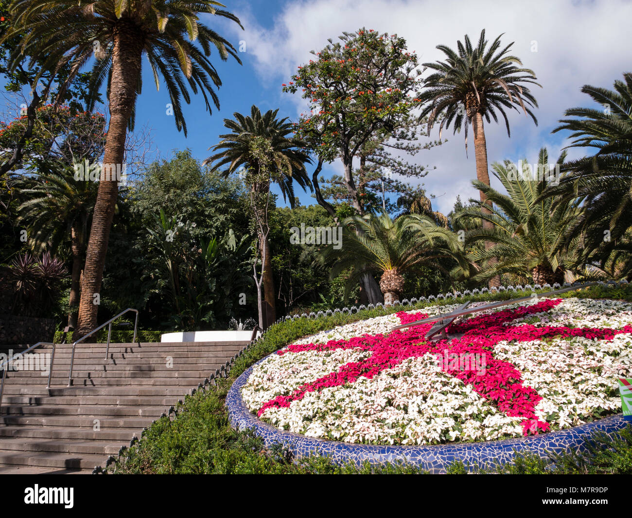 Orologio di fiori, Parque Garcia Sanabria, Santa Cruz de Tenerife, Tenerife, Spagna. Foto Stock