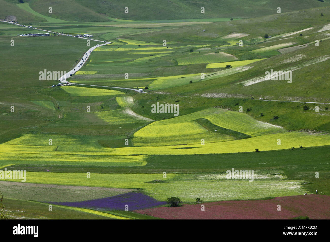 Castelluccio di Norcia - Umbria - Italia Foto Stock