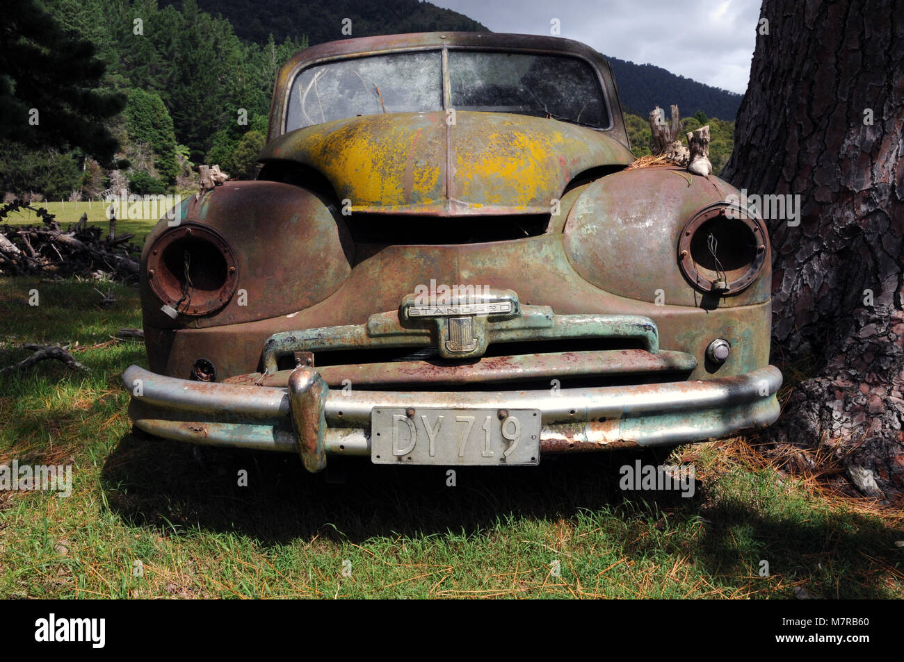 Uno standard Vanguard giace abbandonata in un campo sull'Isola Sud della Nuova Zelanda. Di origine britannica sono state le vetture in productiuon da 1948-1963. Foto Stock