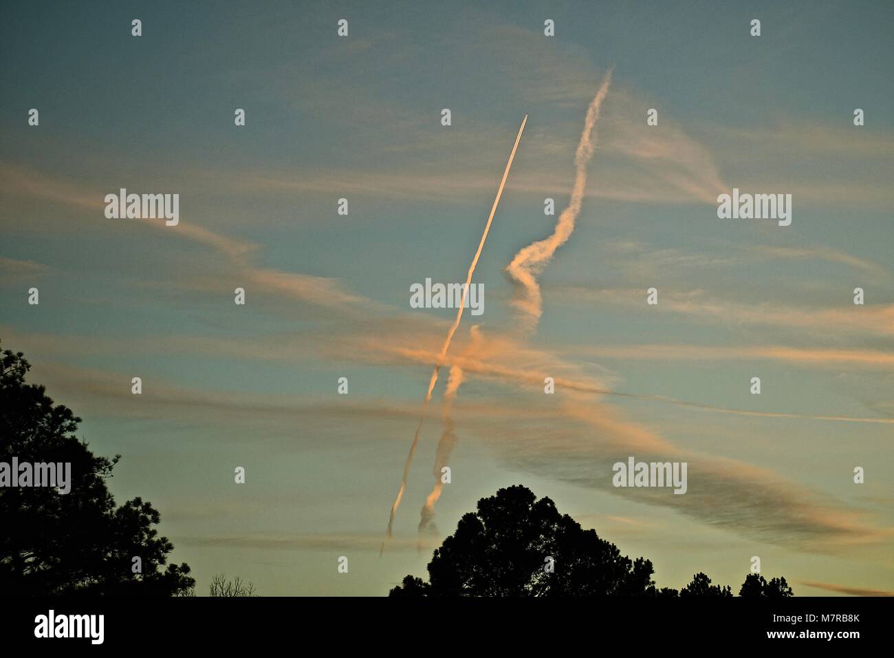 Nuvole rosa forma uccello come immagine con cielo blu sullo sfondo Foto Stock