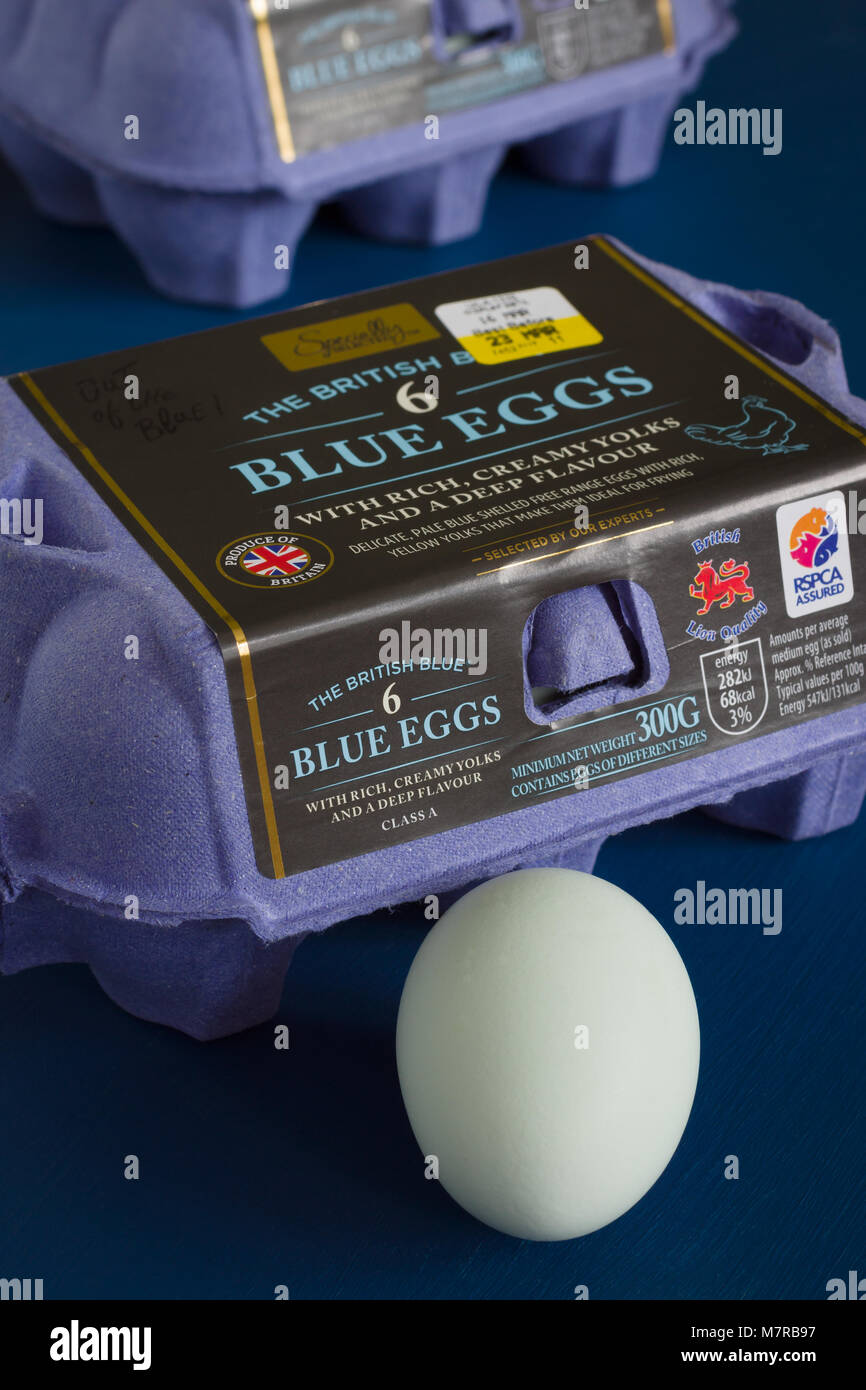 Il British Blue uova di galline riforniti sotto la Aldi selezionati appositamente brand sviluppato e prodotto in Lincolnshire da LJ Fairburn e figlio Foto Stock