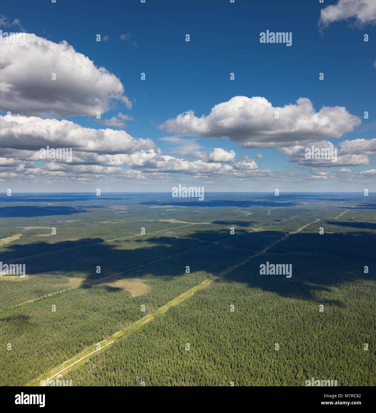 Vista aerea foresta pianura con linea di alimentazione Foto Stock