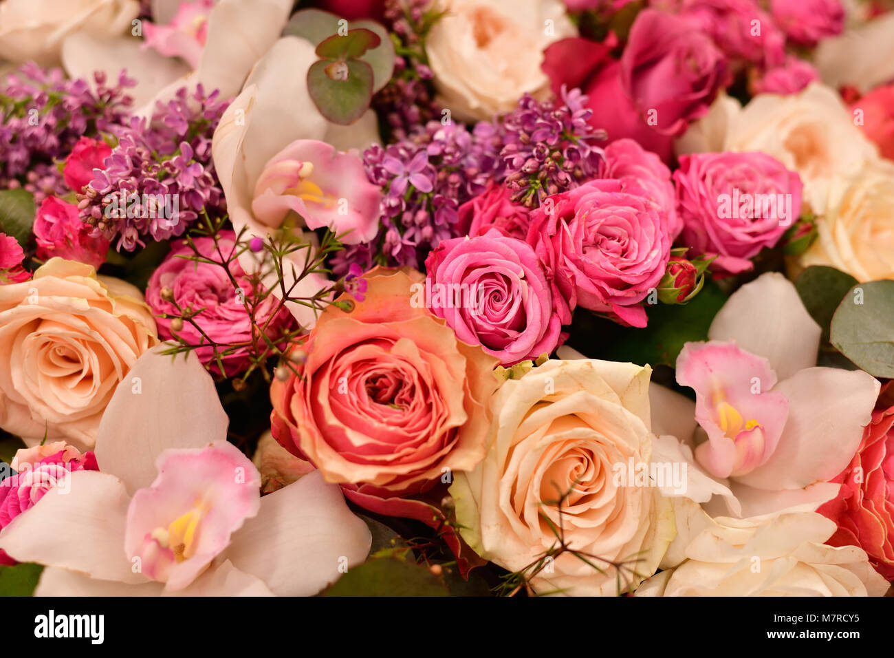 Fiori lilla e rose diverse close-up Foto Stock
