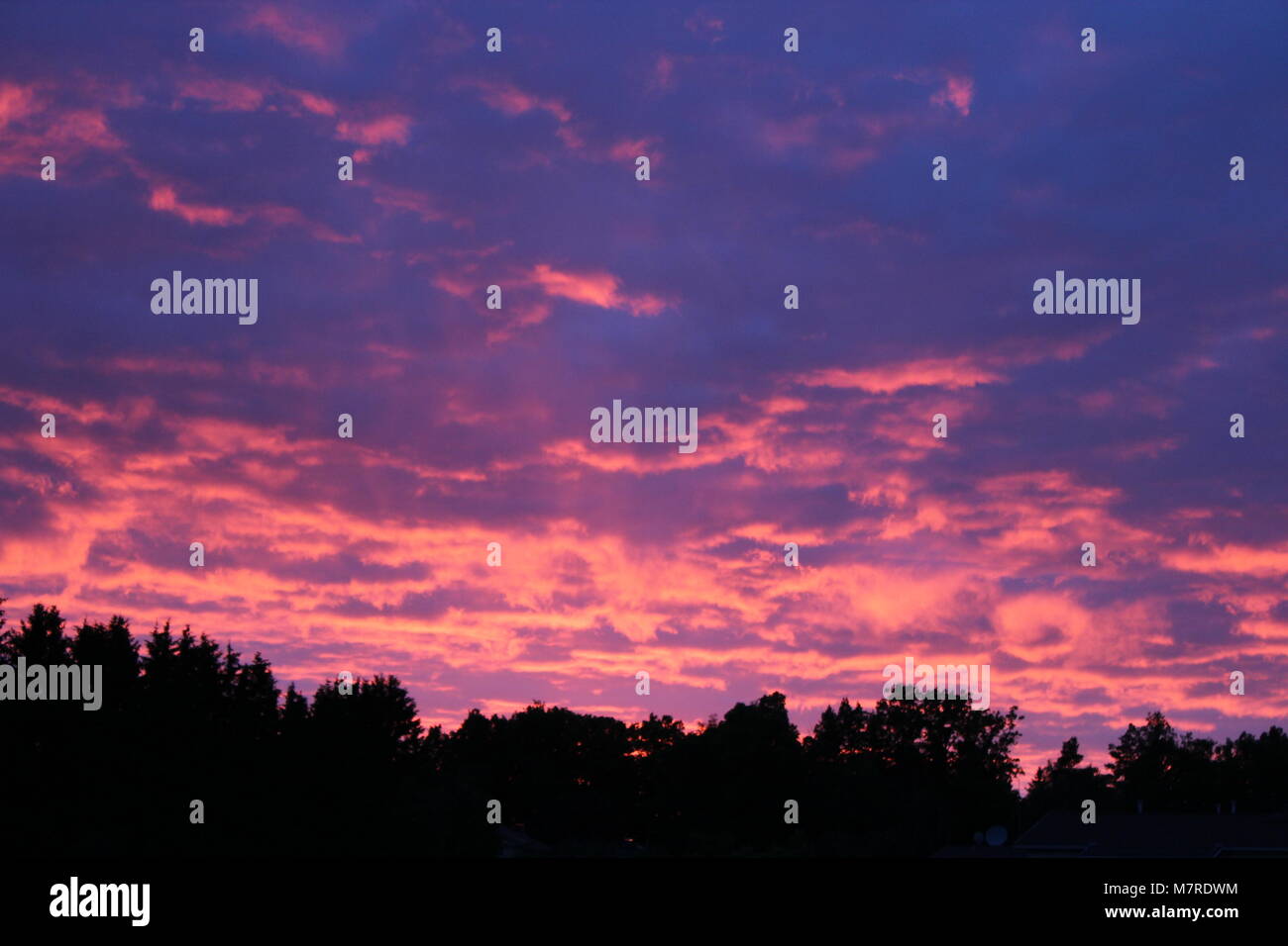 Sundown con rosa Cielo e nubi Foto Stock