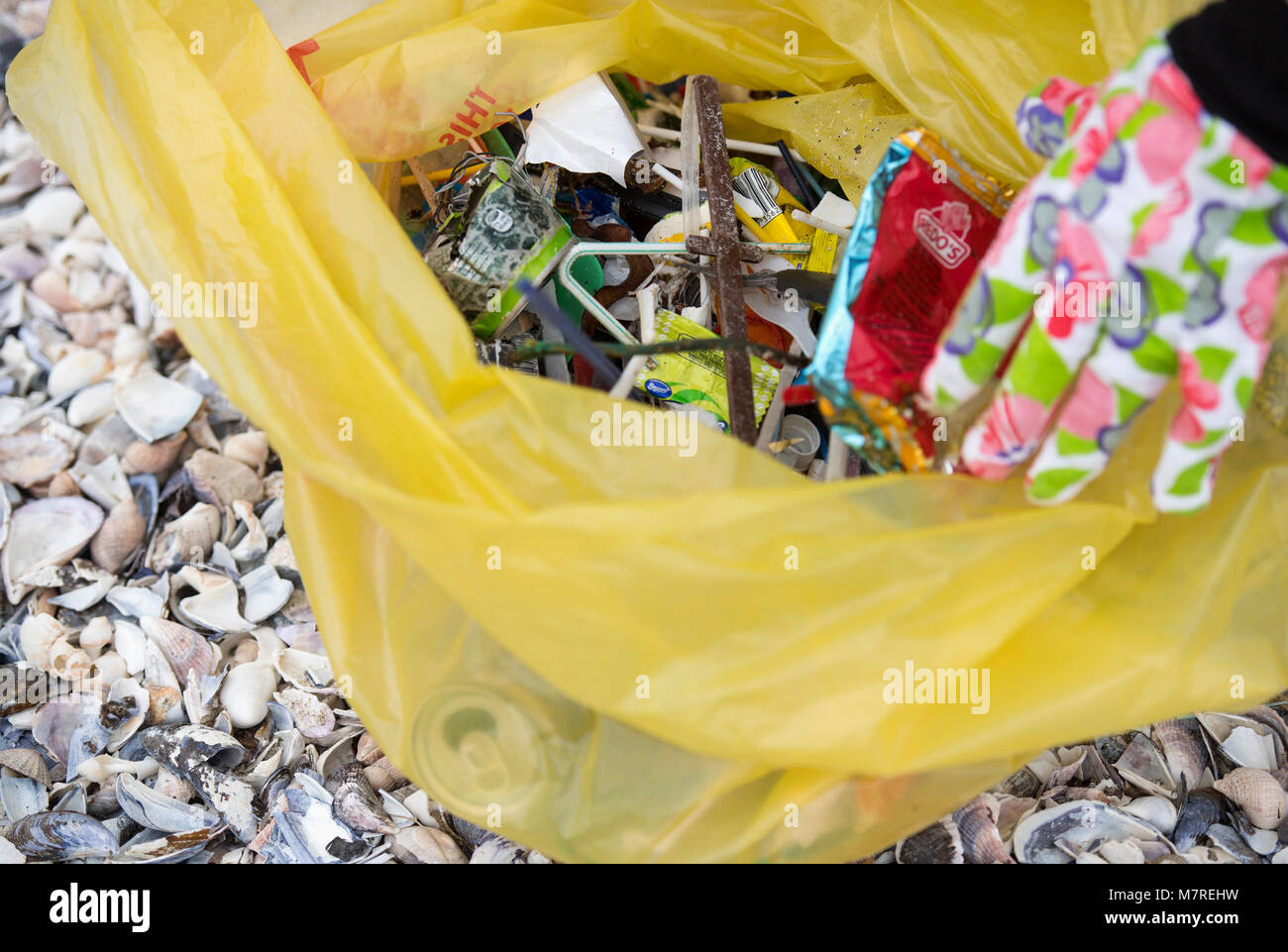 Essendo in plastica raccolti come parte di una spiaggia pulita-fino a Cape Town, Sud Africa Foto Stock