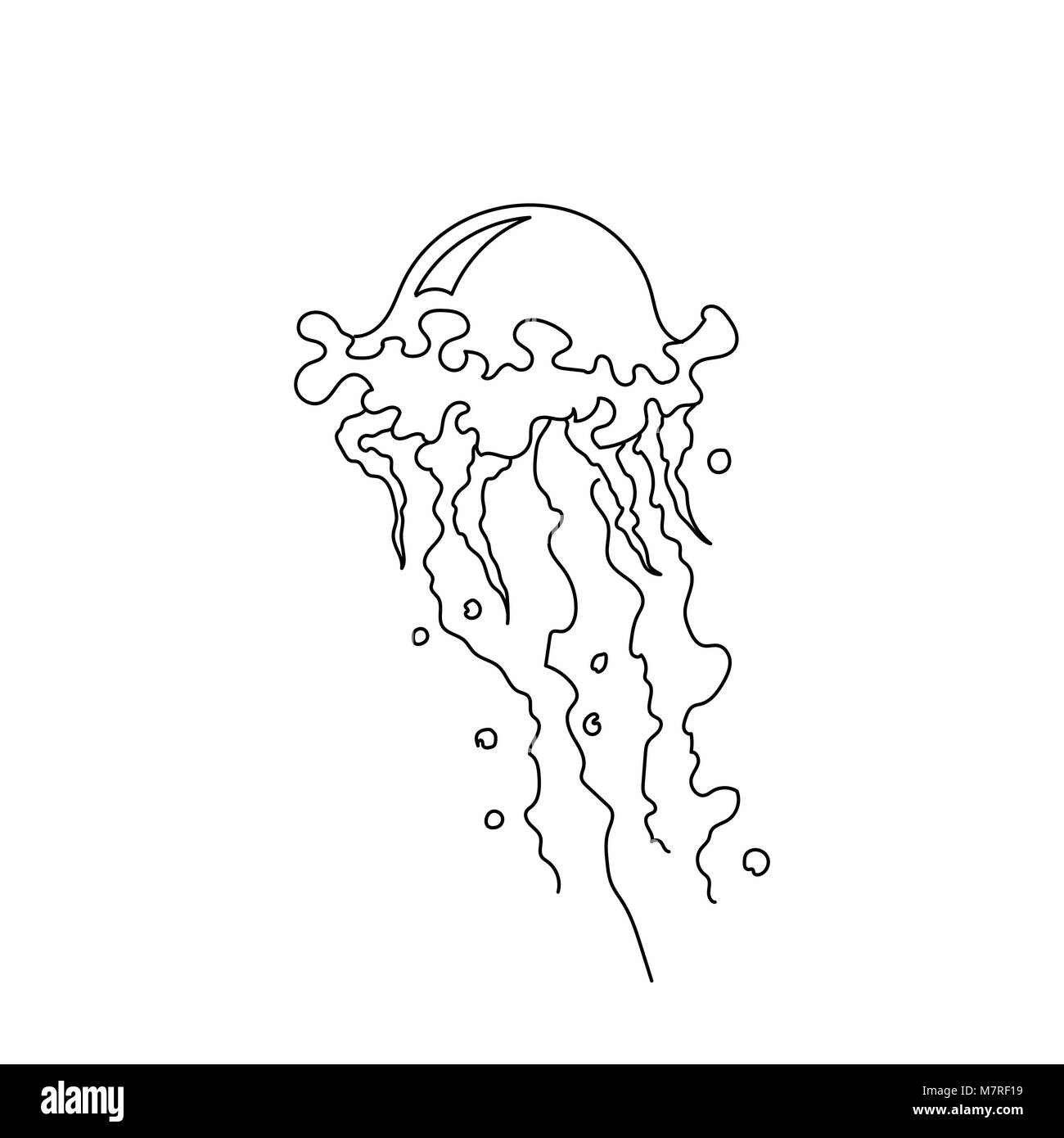 Illustrazione Vettoriale di meduse. Disegnato a mano le meduse. Linea Mare arte collezione Illustrazione Vettoriale