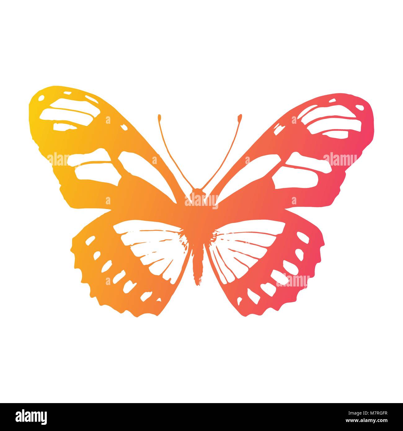 Vettore butterfly su sfondo bianco. Elemento di design Illustrazione Vettoriale
