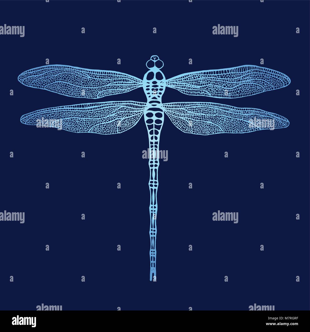 Dragonfly. Libellula del vettore. Disegnato a mano damselfly vettore. Illustrazione Vettoriale