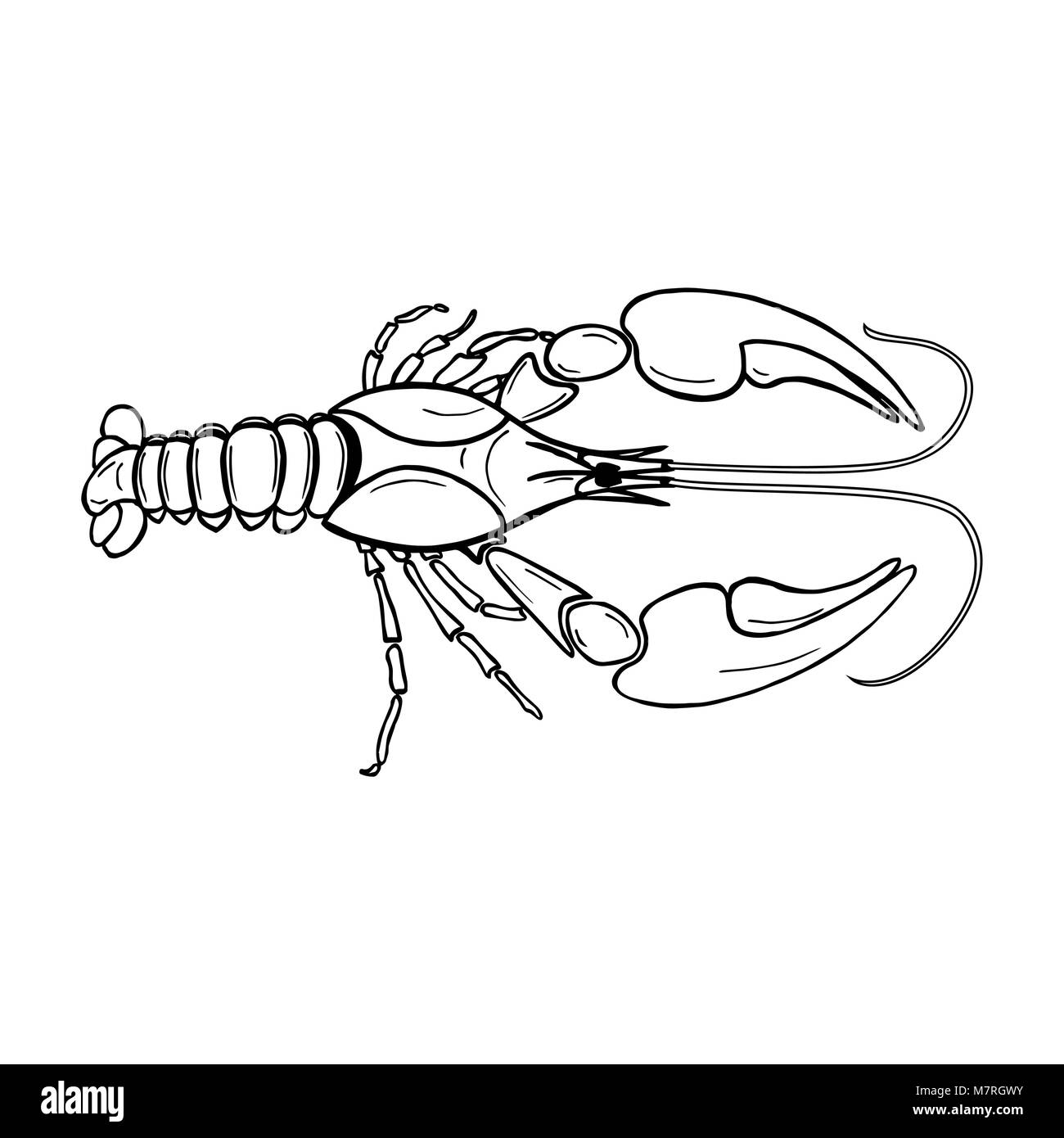 Illustrazione del pesce craw su sfondo bianco. Segni zodiacali cancro Illustrazione Vettoriale