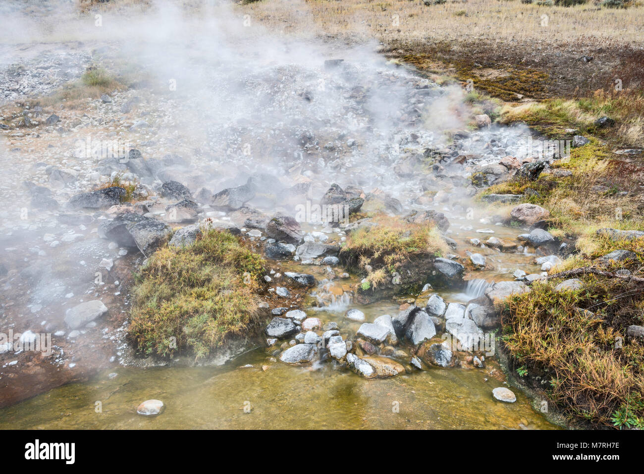 Sunbeam Hot Springs la cottura a vapore in Salmon River Valley, terra della forcella Yankee, vicino Sunbeam, Salmon River Scenic Byway, Idaho, Stati Uniti d'America Foto Stock