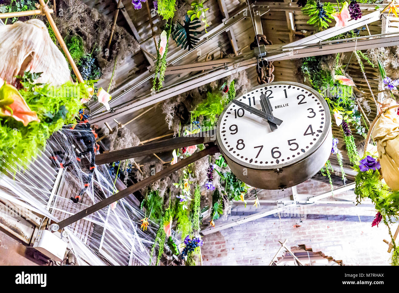 La città di New York, Stati Uniti d'America - 30 Ottobre 2017: mercato negozio alimentari interno interno nel centro cittadino inferiore quartiere di Chelsea District di Manhattan NYC, orologio tempo di guardare Foto Stock