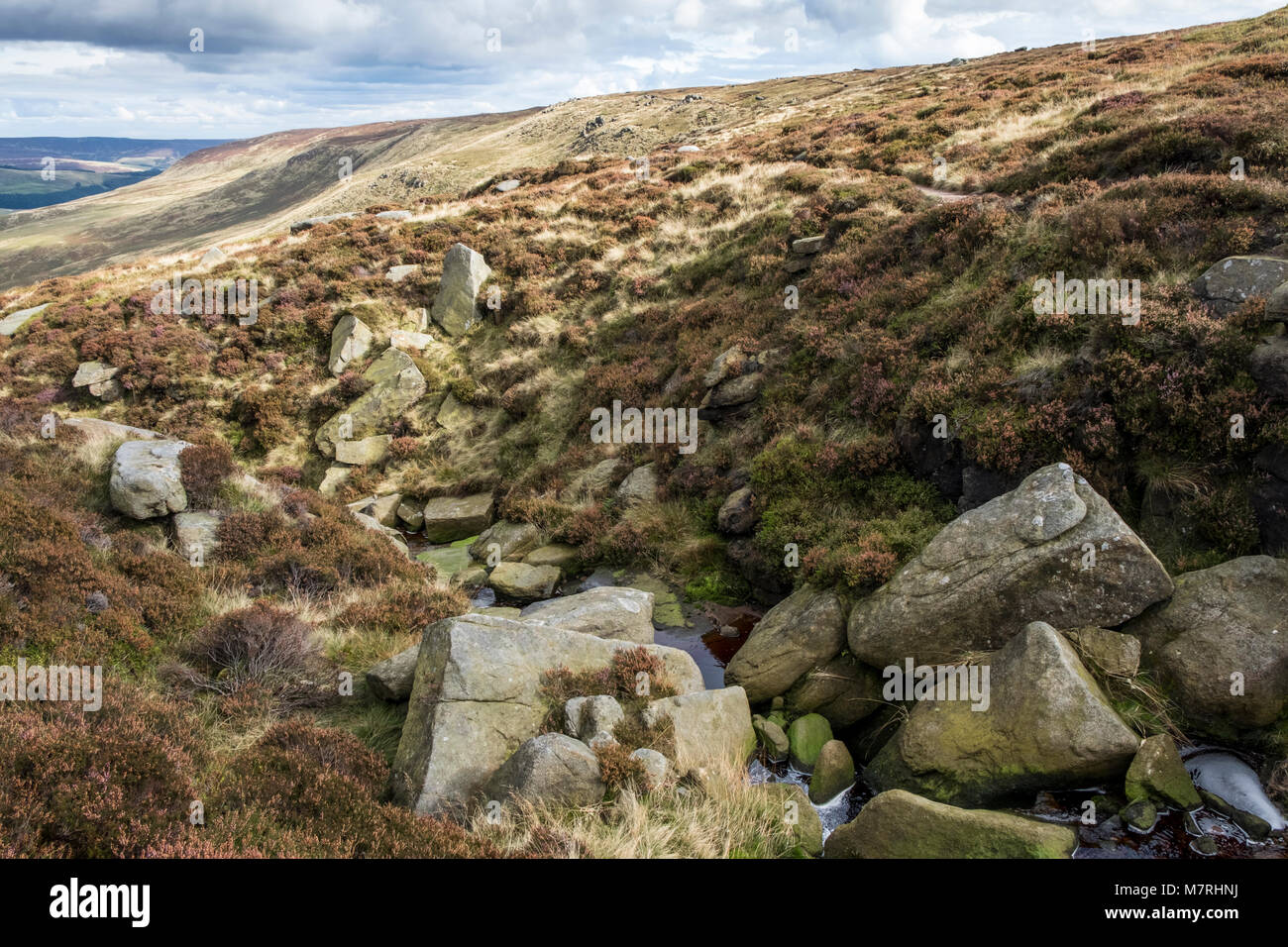 Un autunno vista lungo il bordo Blackden con Blackden ruscello che scorre giù per la collina brughiera. Kinder Scout, Derbyshire, Peak District, England, Regno Unito Foto Stock