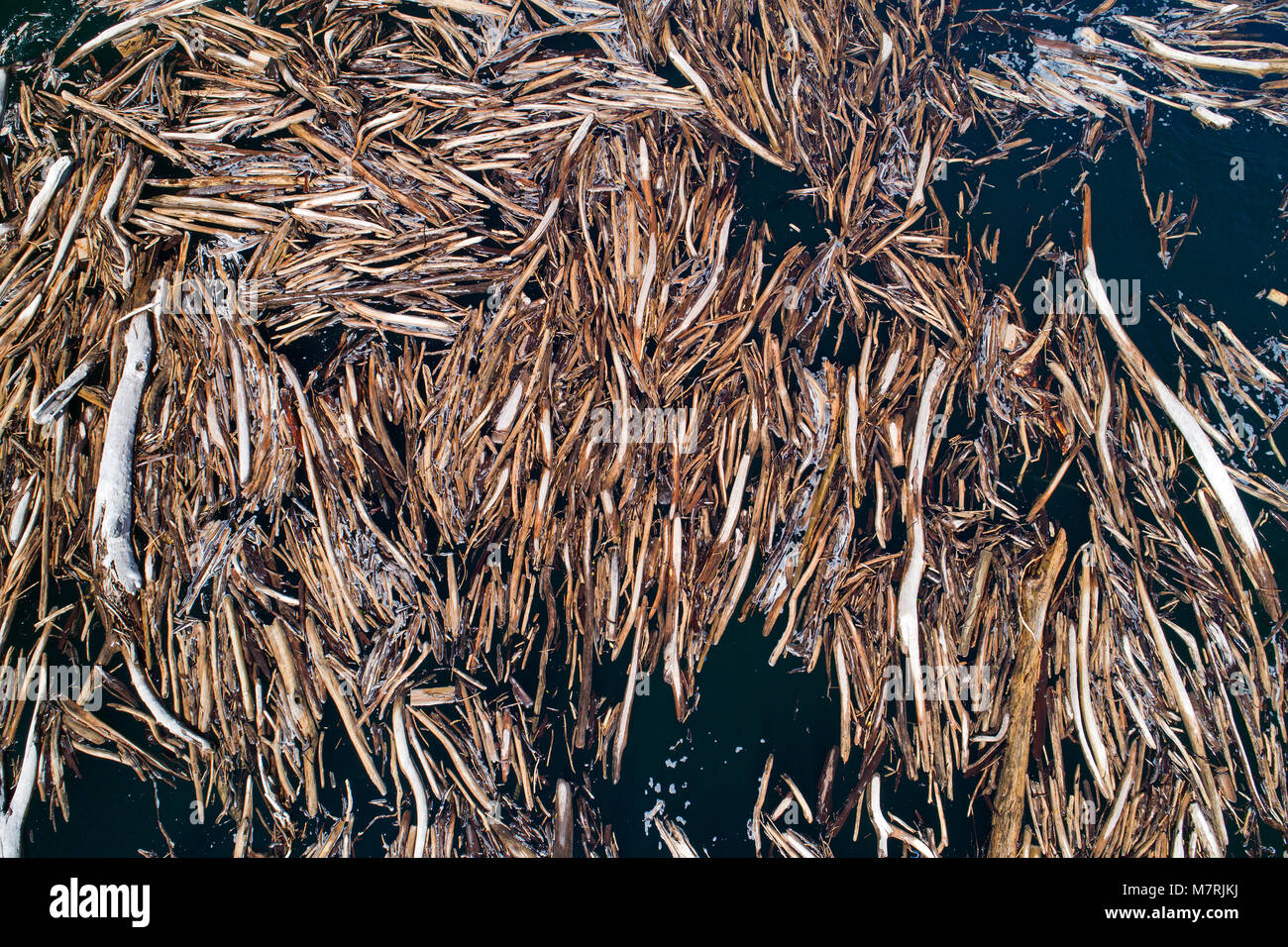 Il legno deriva lavato su Maruia cade sul fiume Maruia, nei pressi di Murchison, Tasman District, South Island, in Nuova Zelanda - antenna fuco Foto Stock