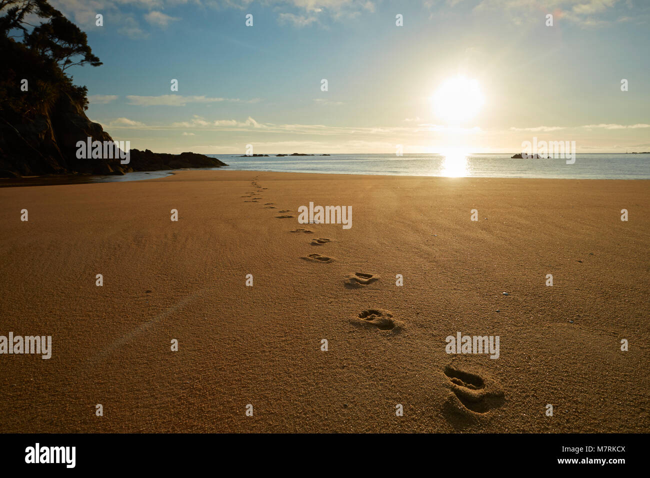 Piedi stampe in sabbia a sunrise, Mosquito Bay, il Parco Nazionale Abel Tasman Nelson Regione, Isola del Sud, Nuova Zelanda Foto Stock