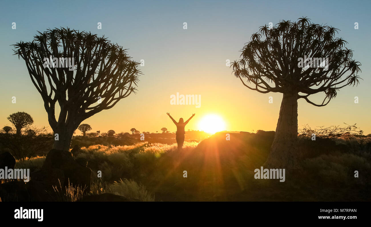 Felice celebra il successo vincendo la donna al tramonto o l'alba euforico in piedi con le braccia sollevate fino sopra la sua testa tra due quiver tree in grassla Foto Stock