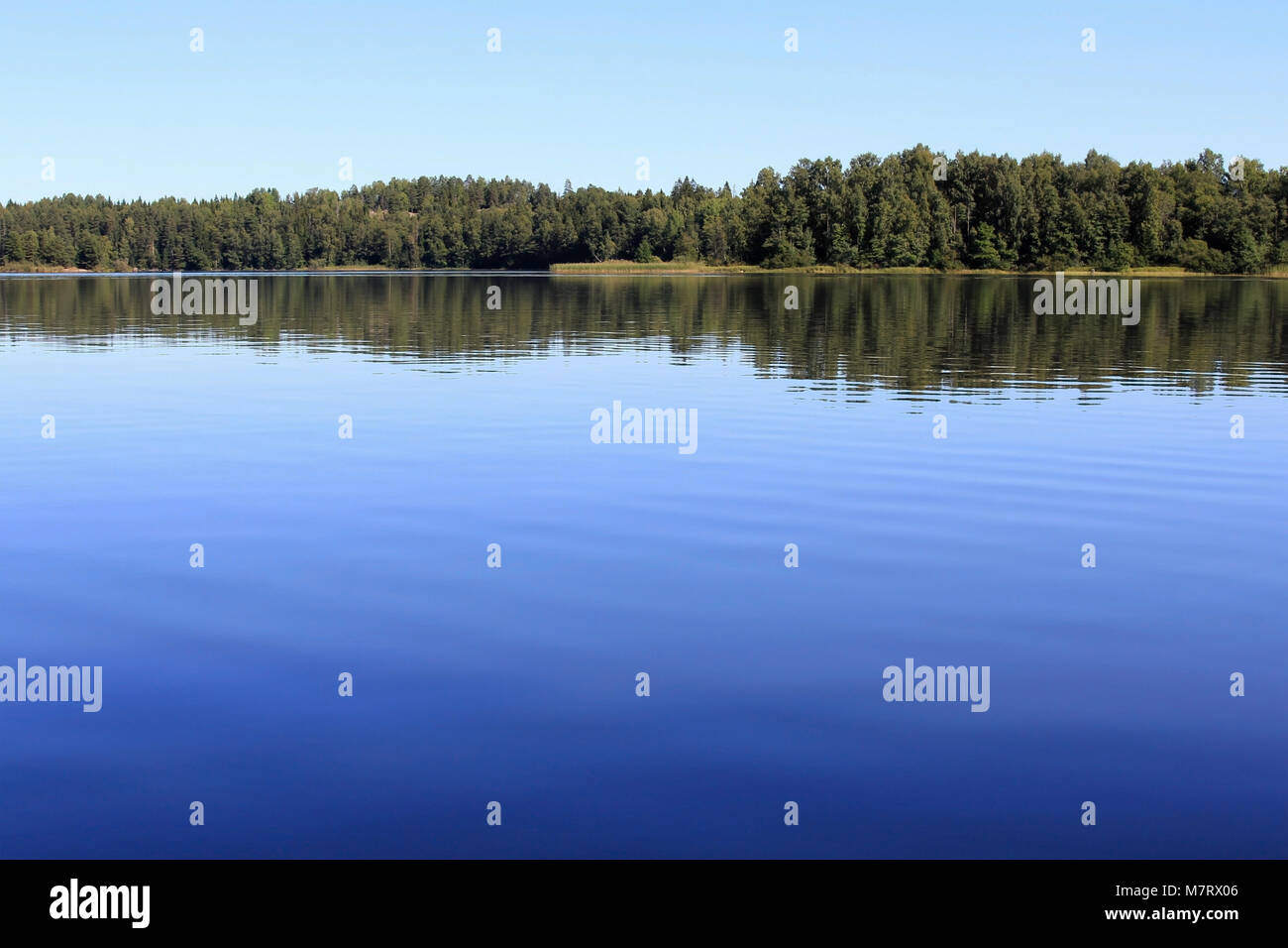Verticale di un azzurro lago Brukstrasket, foresta e cielo blu in Mustio, Finlandia. Adatto per gli sfondi, spazio per il testo. Foto Stock