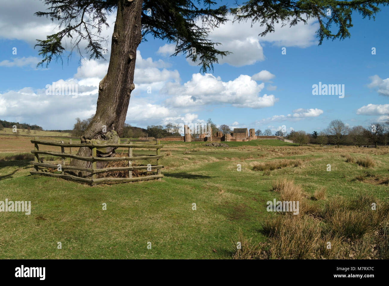 Motivi di Glenfield Lodge Park e rovine di Lady Jane Grays house, Leicestershire, England, Regno Unito Foto Stock