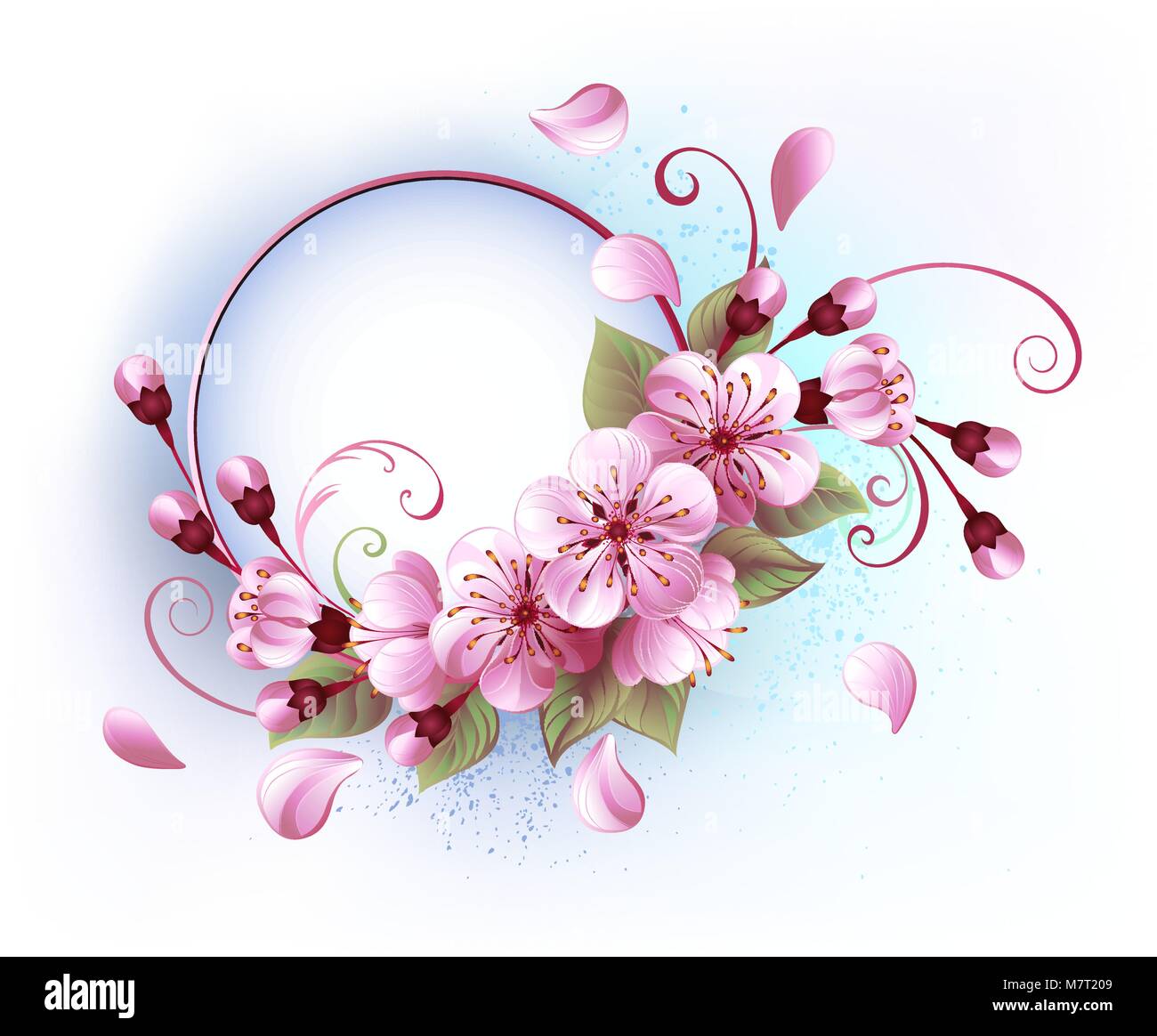 Banner rotondo con rigogliosi, rosa sakura blossom su sfondo bianco. Festa della Primavera. Sakura blossoms. Hanami Illustrazione Vettoriale