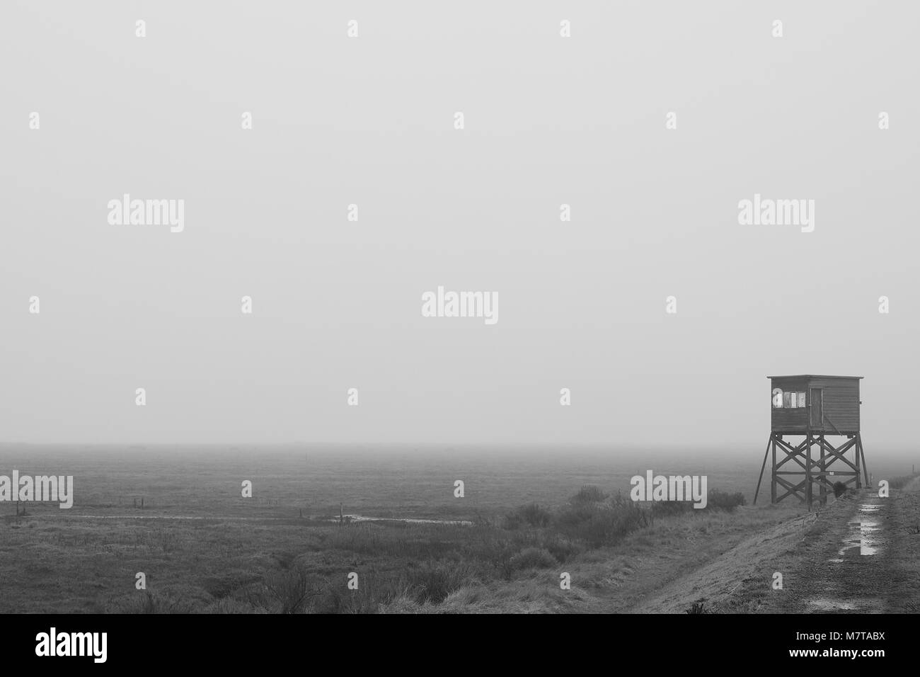 Dengie Riserva Naturale, Essex. Questa area di conservazione è un sito di particolare interesse scientifico sulla costa del Regno Unito. Vista su paludi di abbandonato lookout Foto Stock