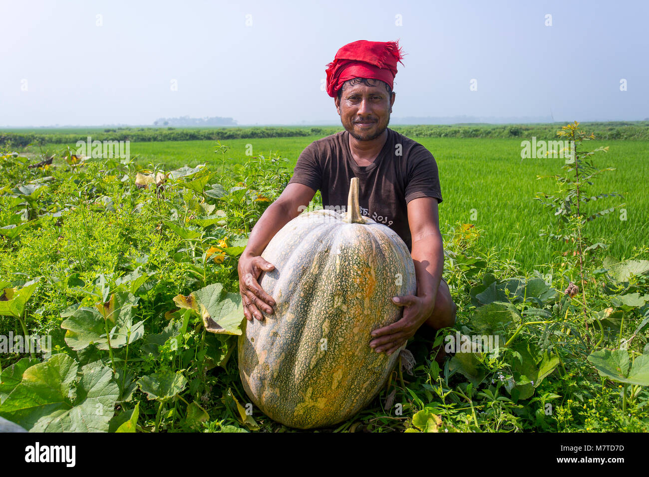 Ritratto di un agricoltore di zucca. Foto Stock