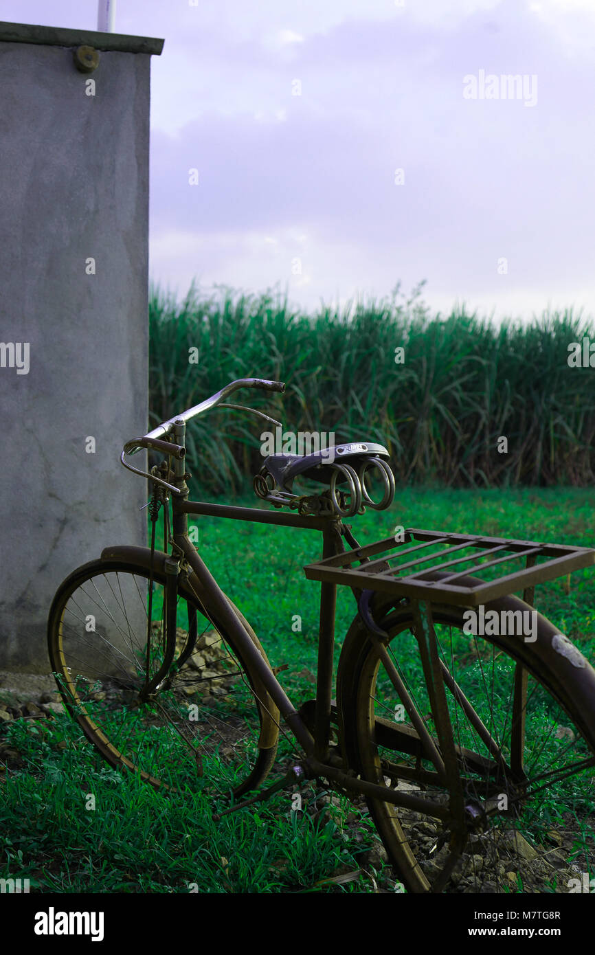 Una vecchia bicicletta in un terreno coltivato Foto Stock
