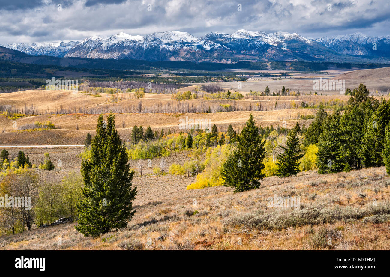 Le Sawtooth Mountains, vista dal dente di sega Scenic Byway, nei pressi di Galena vertice, Sawtooth National Recreation Area, Sawtooth National Forest, Idaho, Stati Uniti d'America Foto Stock