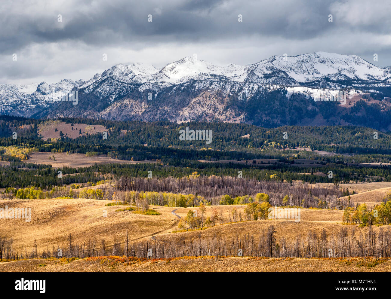 Nuvole pesanti su montagne a dente di sega, vista dal dente di sega Scenic Byway, nei pressi di Galena vertice, Sawtooth National Forest, Idaho, Stati Uniti d'America Foto Stock