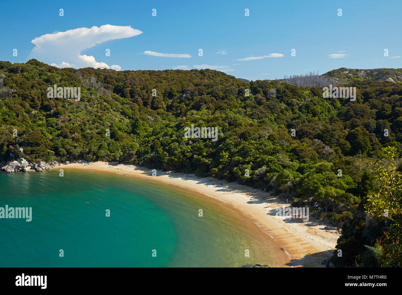 Te Pukatea Bay, il Parco Nazionale Abel Tasman Nelson Regione, Isola del Sud, Nuova Zelanda Foto Stock