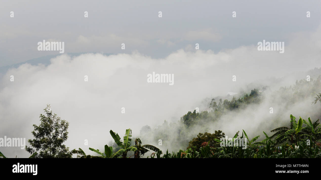 Mattinata nebbiosa in Ruanda sulla collina del paese. Foto Stock