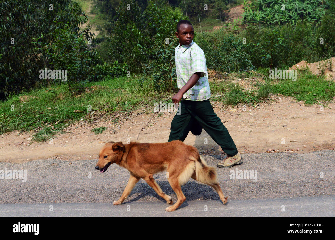 Un ragazzo ruandese a piedi con il suo cane. Foto Stock