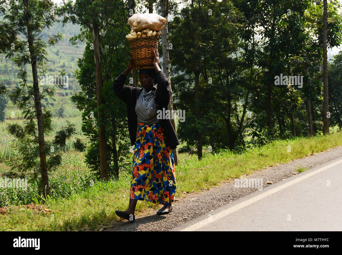 Una donna ruandese che porta un cesto di patate. Foto Stock
