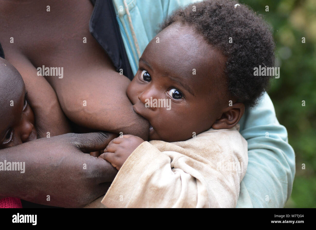 Una donna congolese di allattamento al seno i suoi gemelli. Foto Stock