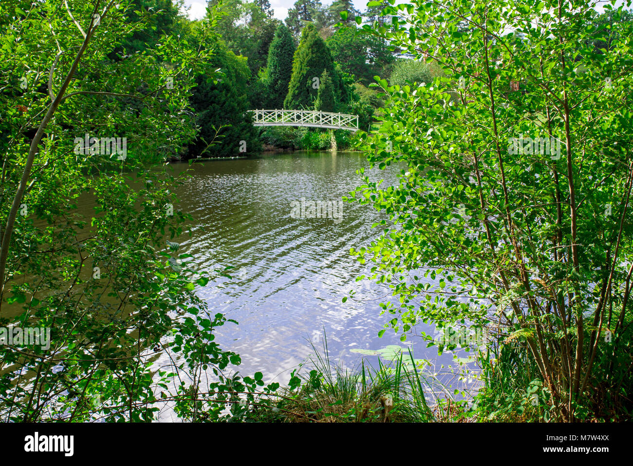 Londra, UK -28th Aug 2016: Bianco Ferro Battuto Bridge è un piccolo ponte pedonale che si stende attraverso la Virginia acqua a valle dei giardini. Foto Stock