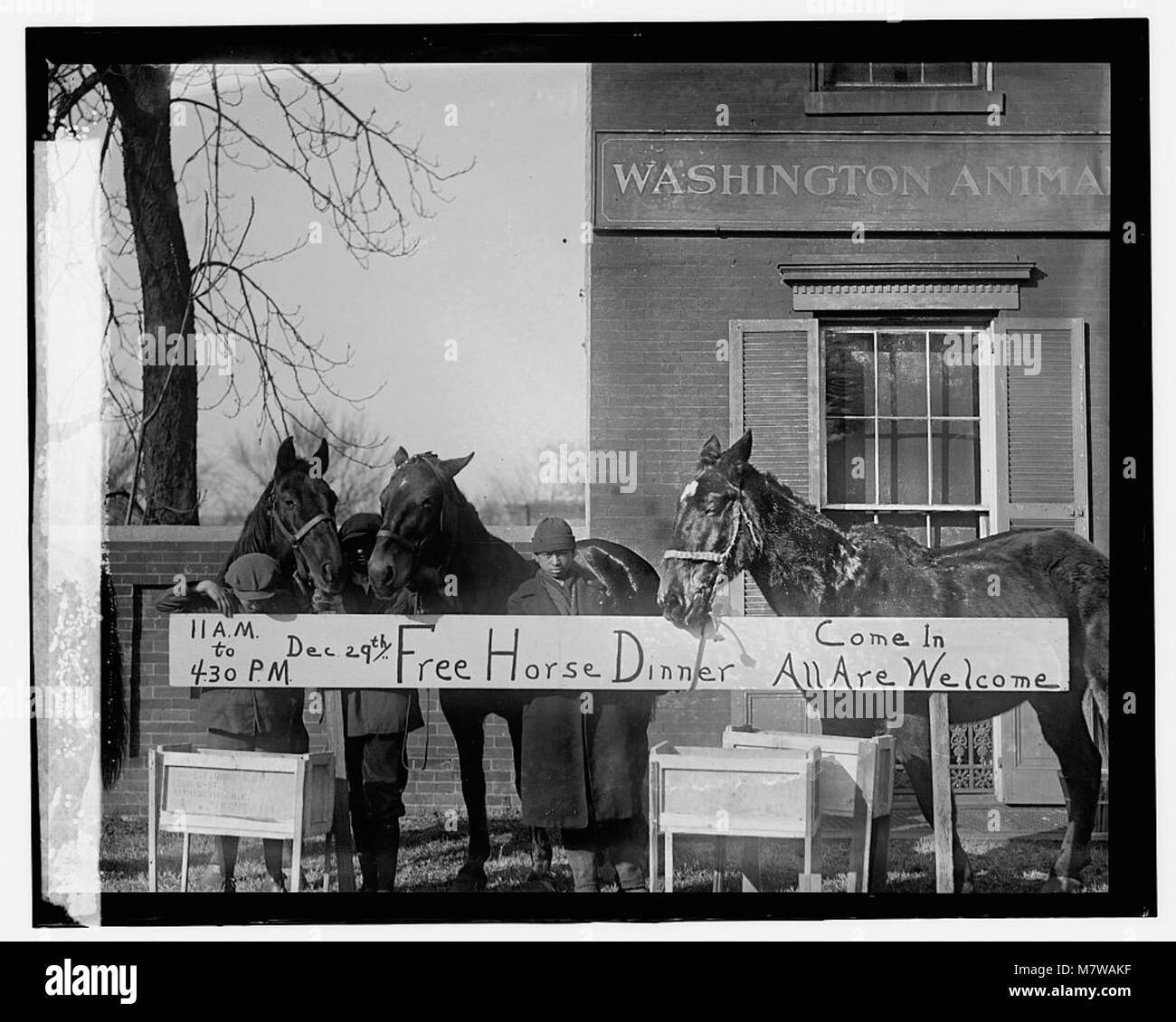 Questa fotografia del 29 dicembre 1923 mostra una festa di Natale a tema cavallo, probabilmente un evento con festeggiamenti natalizi e attività legate ai cavalli per i partecipanti. Foto Stock Questa fotografia del 29 dicembre 1923 mostra una festa di Natale a tema cavallo, probabilmente un evento con festeggiamenti natalizi e attività legate ai cavalli per i partecipanti. Foto Stock