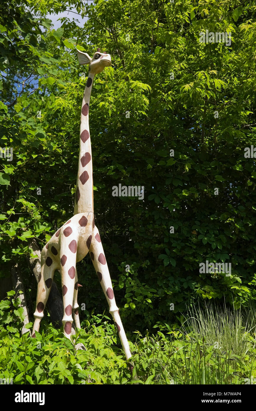 Giraffa in legno statua in Graminacee ornamentali giardino alla Route des Gerbes d'Angelica giardino di primavera, Mirabel, Quebec, Laurentians, Canada. Foto Stock