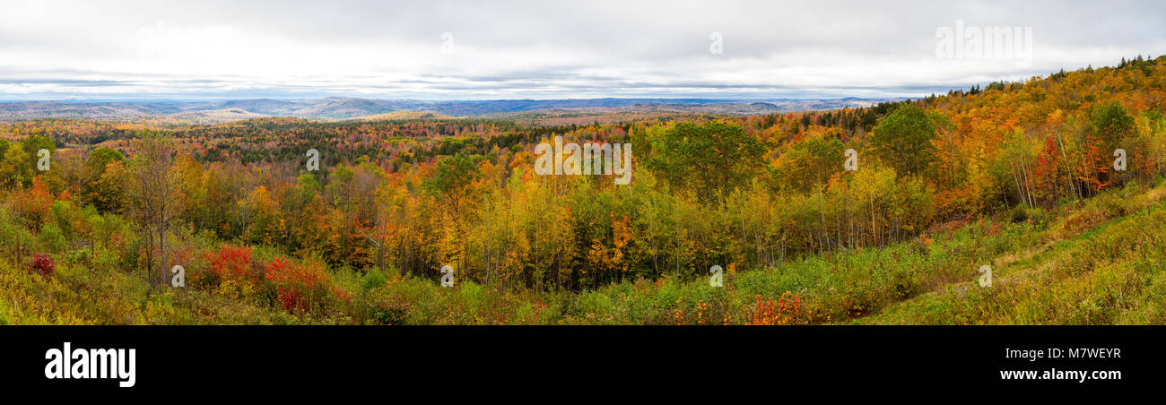 Vermont caduta delle foglie da autostrada statale 9, ad ovest di Brattleboro. Foto Stock