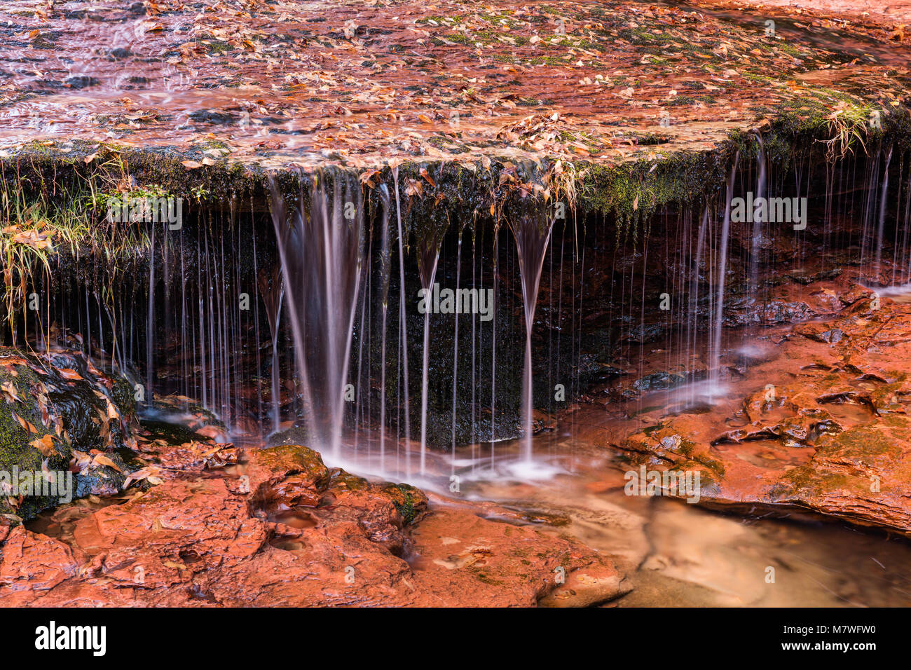 Rivoli di acqua cascata sopra la roccia rossa battuta sullescursione alla  metropolitana, forcella sinistra North Creek, Parco Nazionale Zion, Utah  Foto stock - Alamy