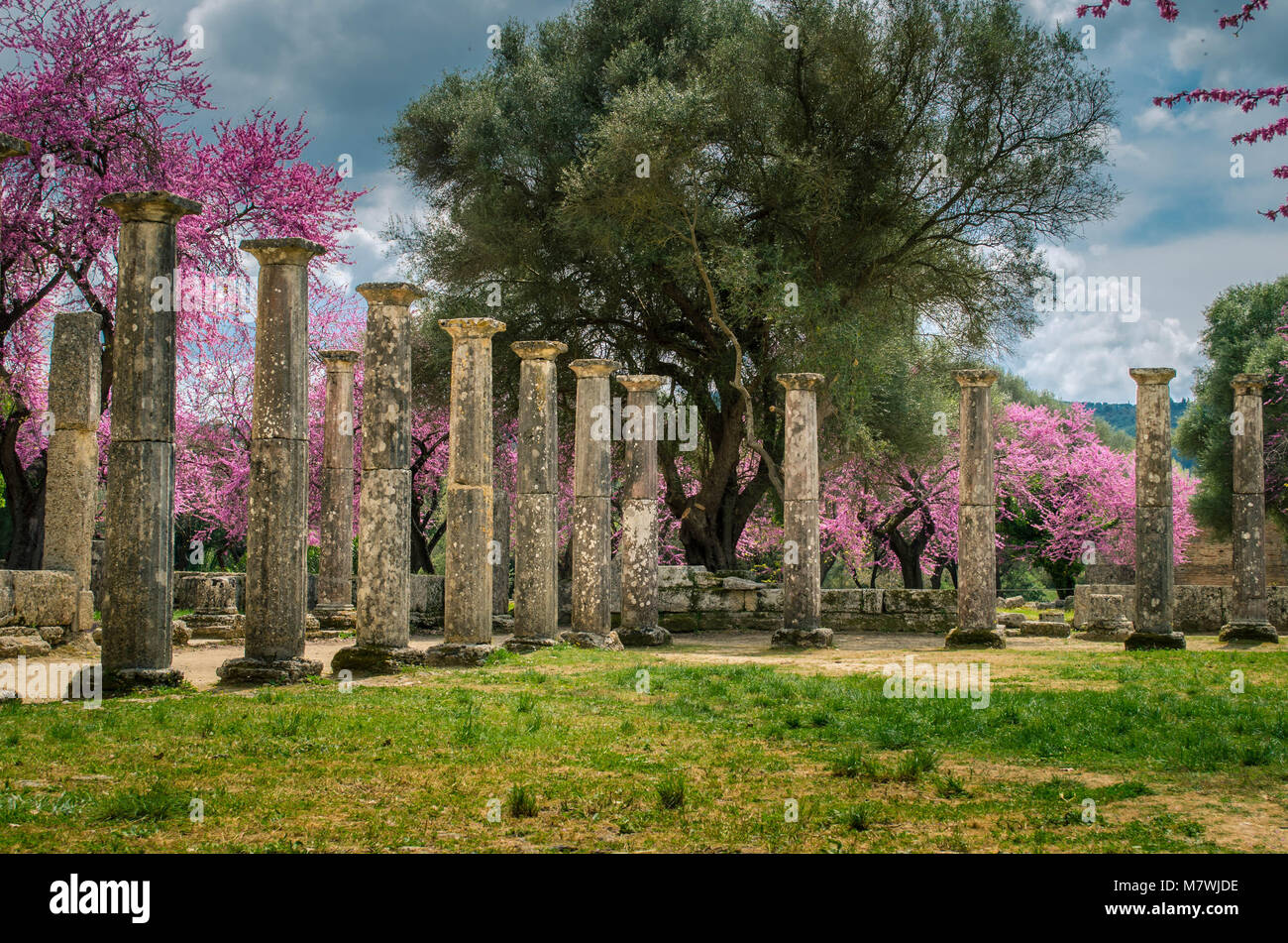Il sito archeologico di Olimpia antica. Il luogo dove i giochi olimpici sono nati in tempi classici e dove la fiaccola olimpica oggi è innescata. Foto Stock