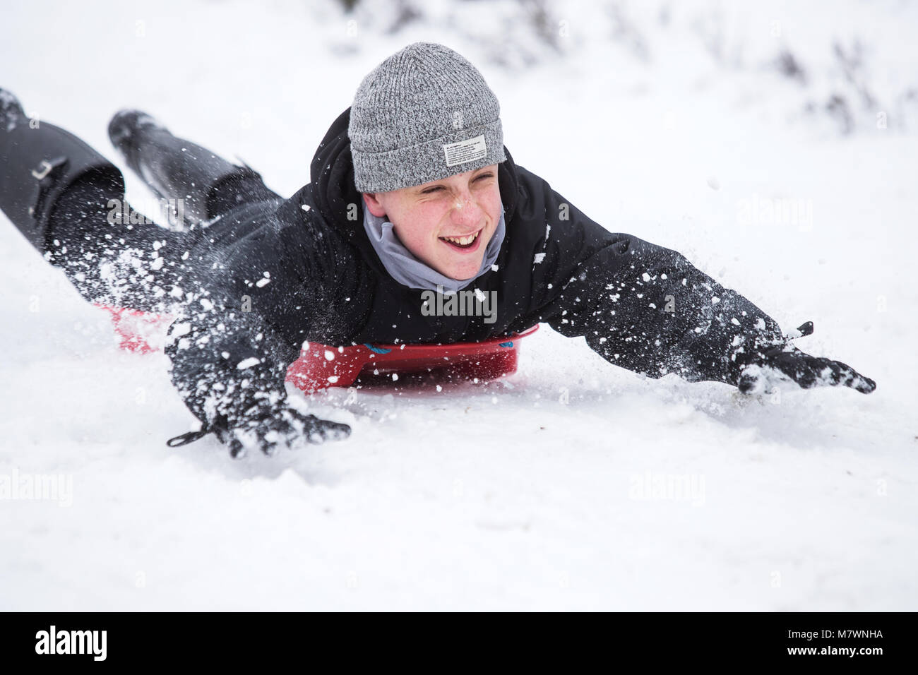 Ragazzo adolescente a giocare nella neve in New Forest, Hampshire, Regno Unito Foto Stock