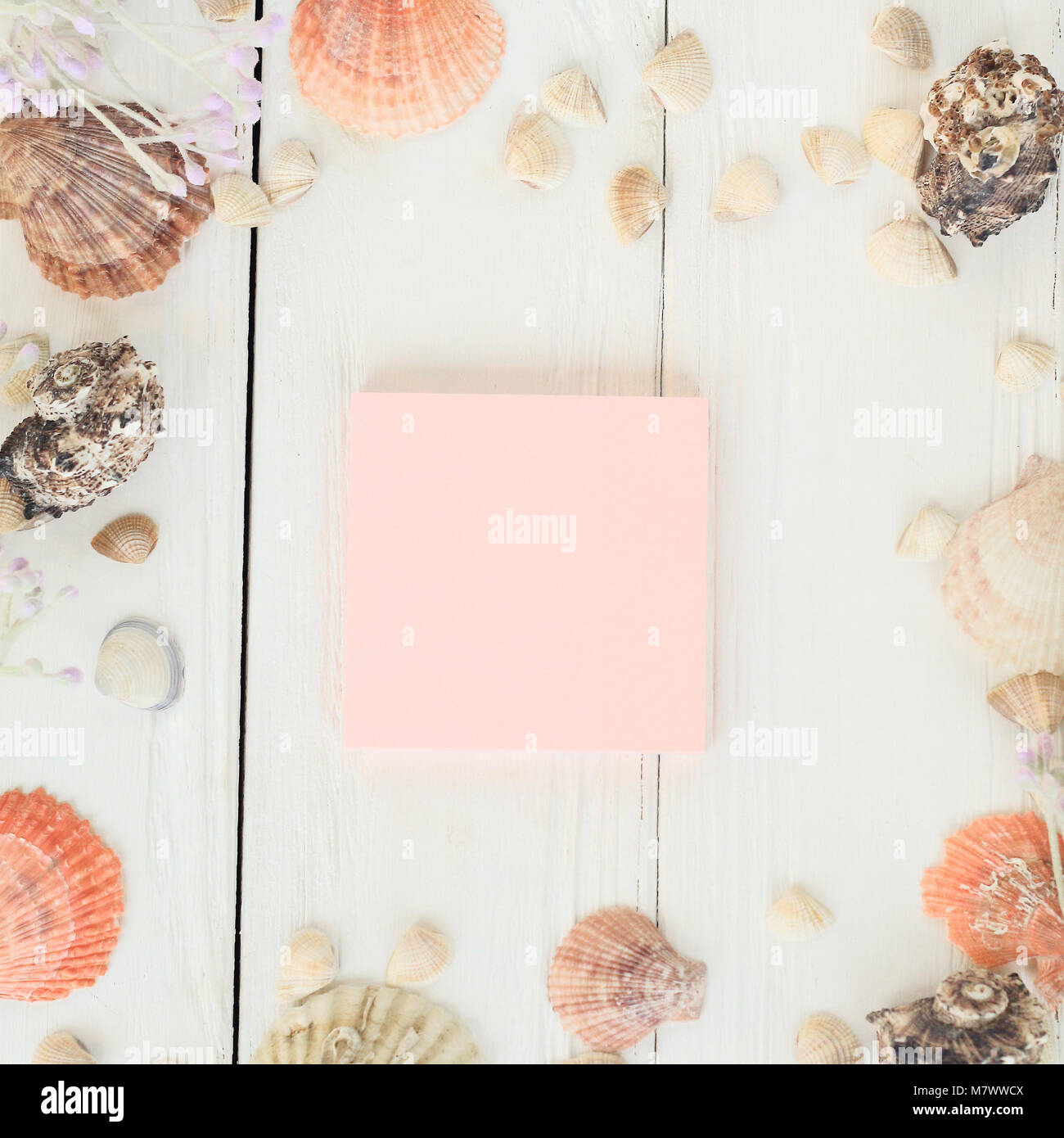 Foglio rosa per registrare e conchiglie su uno sfondo di legno.sfondo di viaggio Foto Stock