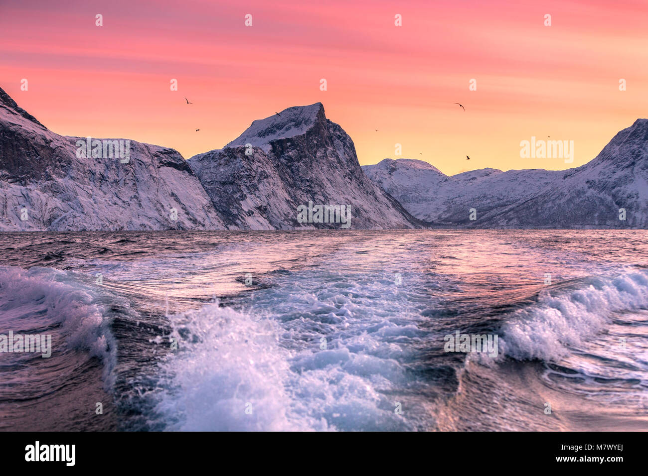 La norvegese fiordo, Mefjorvaer village, Senja isola, Norvegia Foto Stock