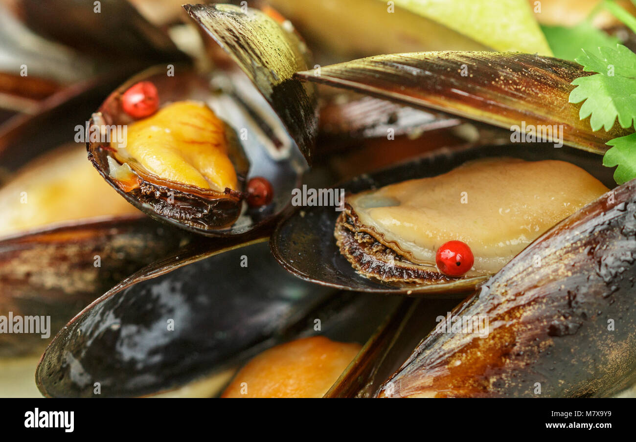 Deliziosa cozze al vino bianco con limone, aglio, erbe aromatiche e spezie da vicino . Il coriandolo e il pepe. Frutti di mare. Le vongole in gusci. Snack per i buongustai. Foto Stock
