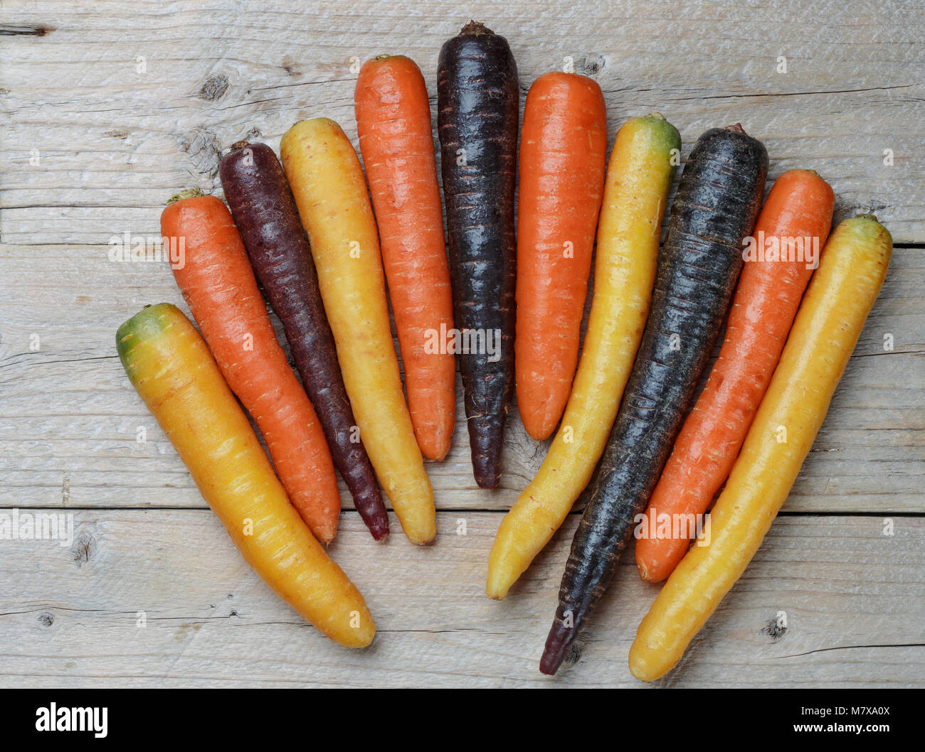 Verdure colorate. Organici di colore giallo, rosso, arancione e viola le carote su una tavola di legno. Stile rustico Foto Stock
