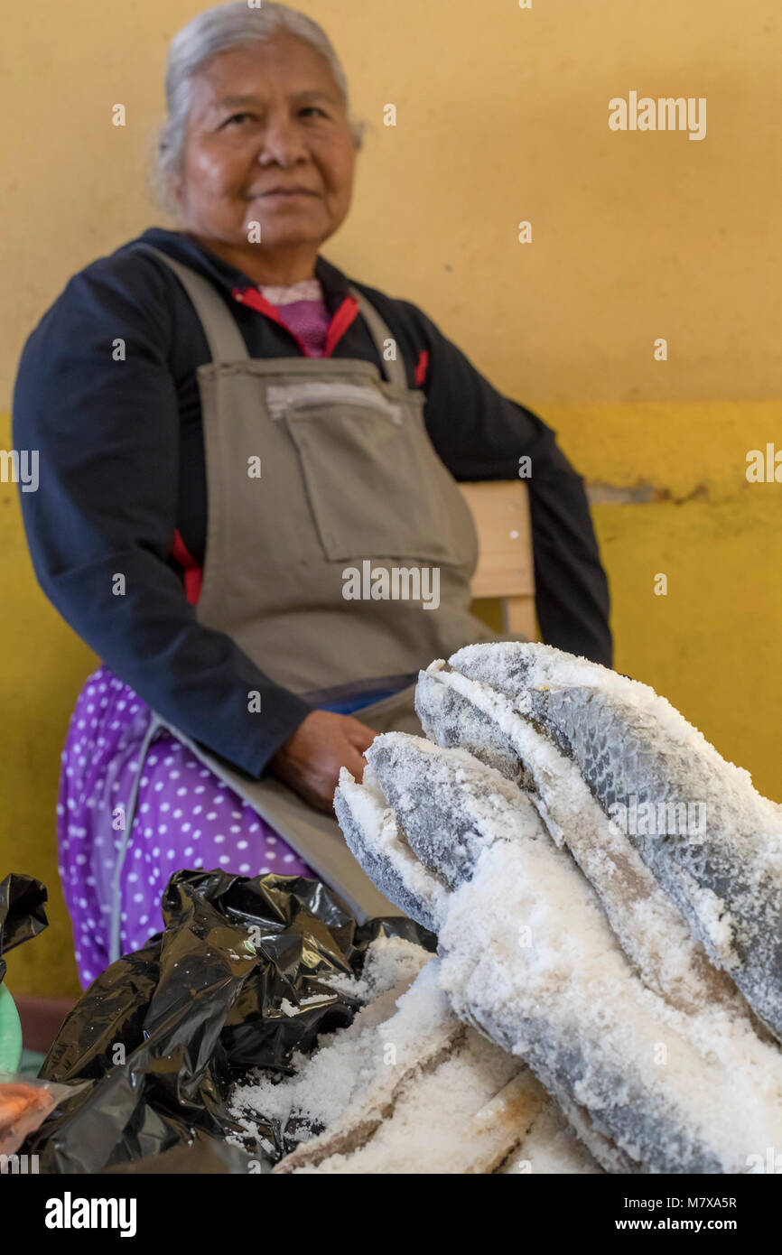 Oaxaca, Oaxaca, Messico - Il Mercado Zonal Las Flores, un mercato di prossimità in Las Flores quartiere. Una donna dall'istmo di Tehuantepec t Foto Stock