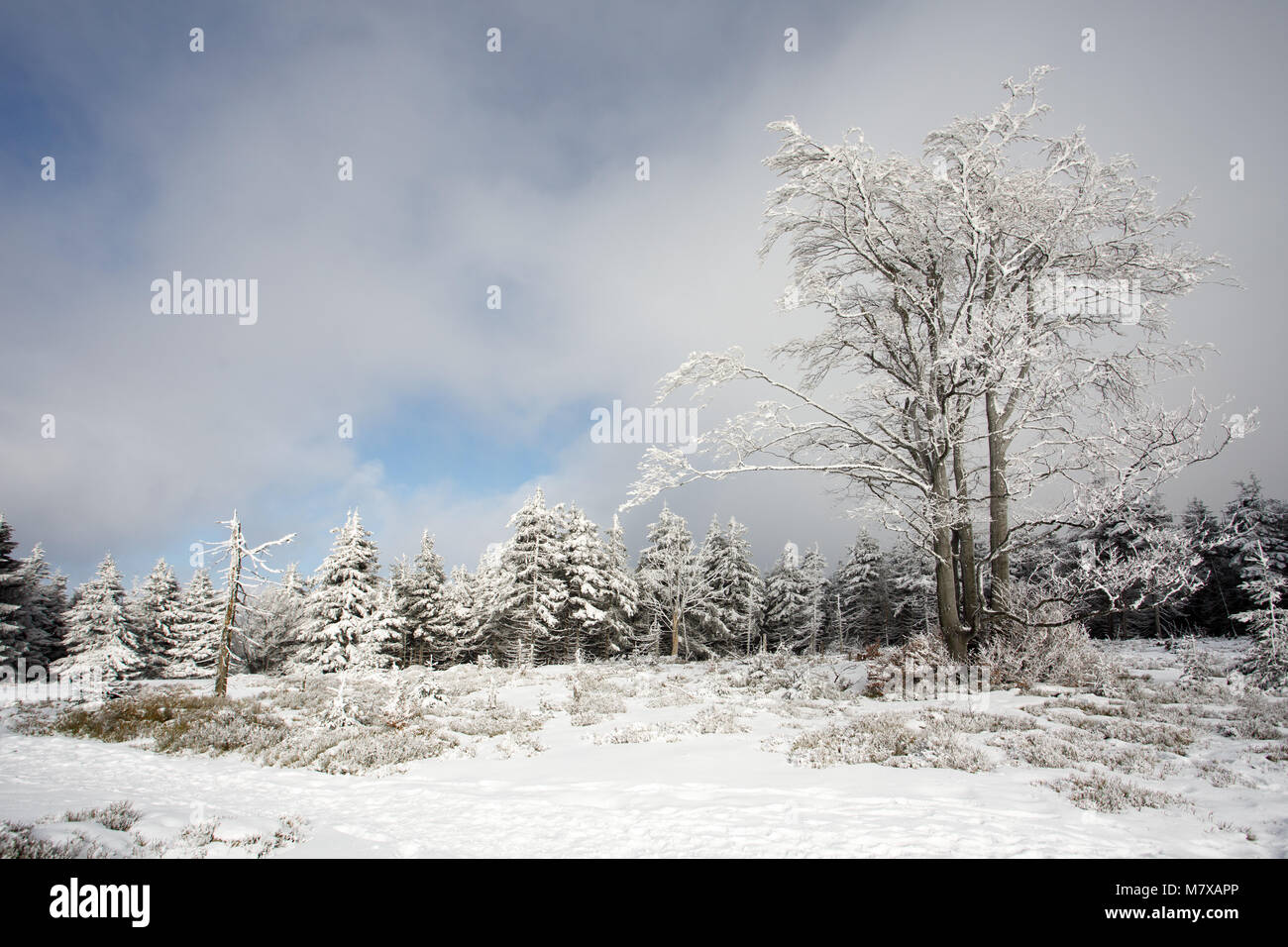 Inverno in Góry Sowie (Owl montagne). Sudety, Polonia. Foto Stock