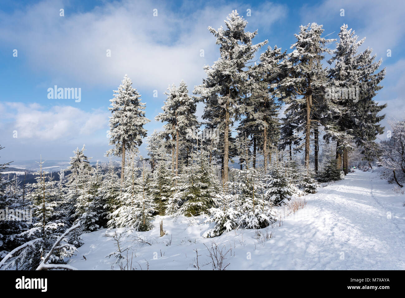 Inverno in Góry Sowie (Owl montagne). Sudety, Polonia. Foto Stock