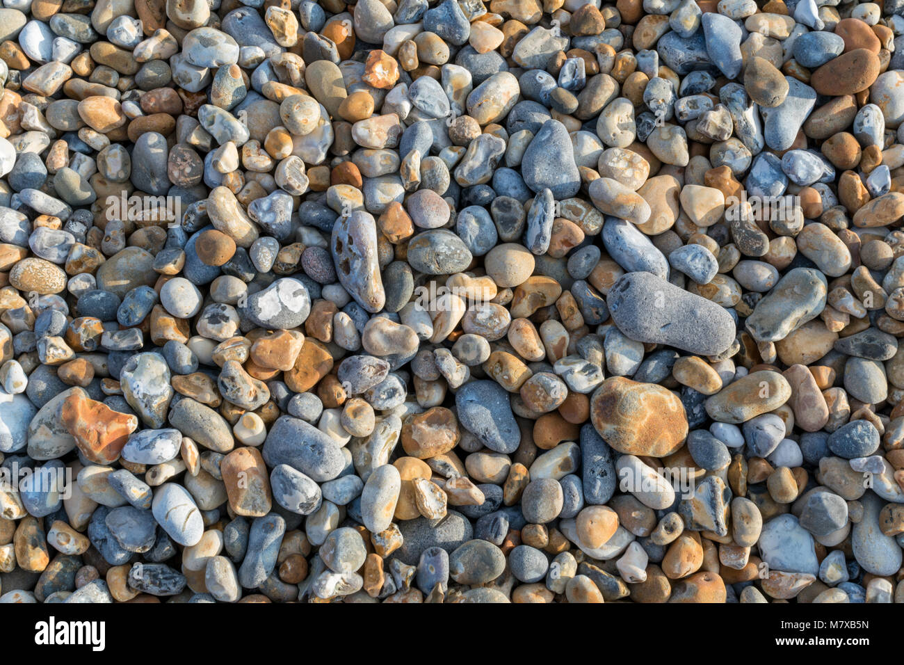 Close-up di ghiaia sulla spiaggia a Bexhill-on-Sea con un mix di grigio, giallo ocra e bluey-ciottoli bianchi di diverse dimensioni Foto Stock