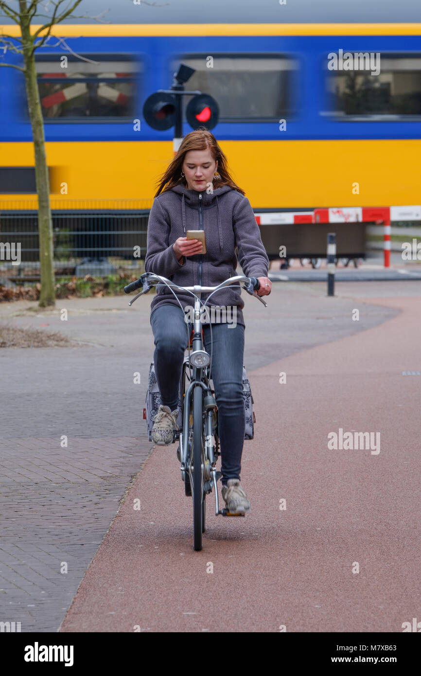 Giovane donna getting distratto dal suo smartphone mentre in sella alla sua bicicletta in giro per la città Foto Stock